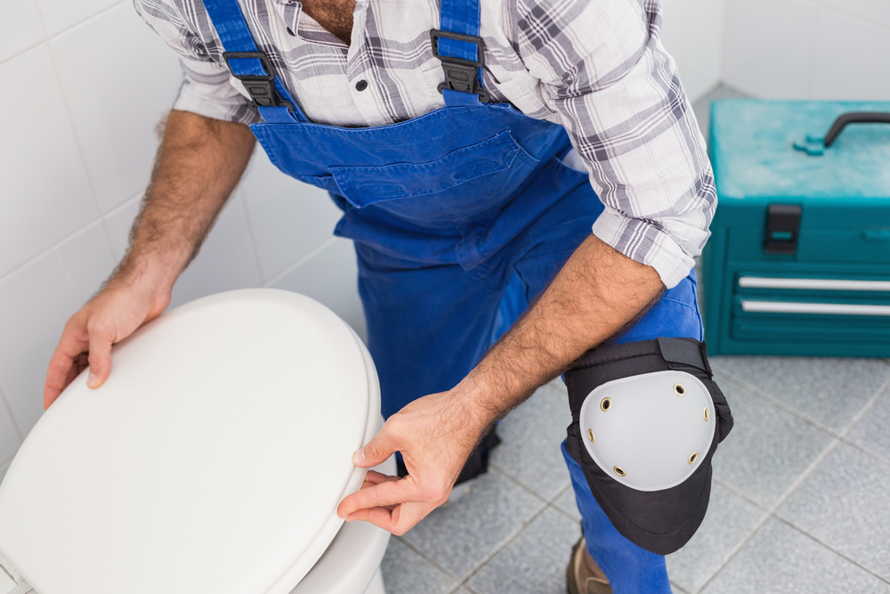 toilet repair - plumbing services
