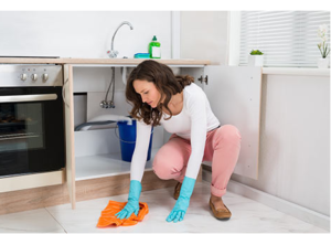 cleaning services